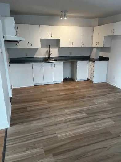 Appartement 3 1/2 à louer Image# 6