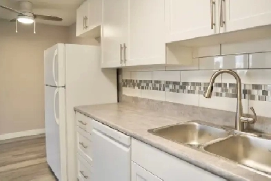 July-Modern Spacious Newly Renovated 1 Bedroom Apt-Century Park Image# 1