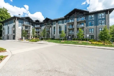 ✨ Bright & Modern Condo – 50 Bryan Ct #101 Image# 7