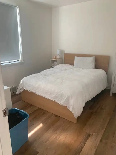 Spacious & Fully Furnished Room for Rent - 1084 Corydon Image# 1