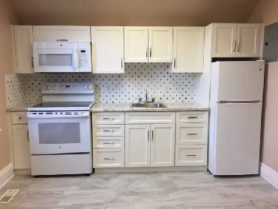 1 Bedroom Apartment - Waterloo   (rent includes utilities) Image# 2