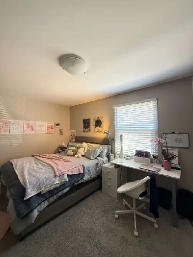 ROOMMATES WANTED! Image# 1