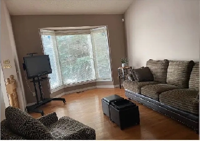 Room for rent 3 min walk to c-train station Image# 6