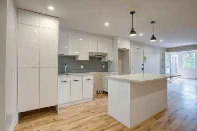 Appartement 3 1/2 entièrement rénové à Rosemont Image# 1