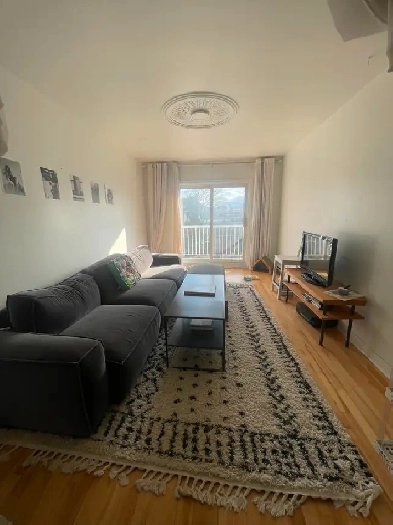 4 ½ Rosemont - Metro Beaubien/Fabre - 2 Balcons Image# 1