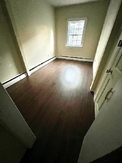 Room For Rent (Downtown Apartment) Dog & Cat Friendly - Open Now Image# 5