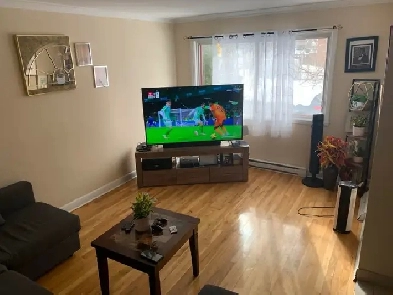 5 1/2, BEAU, GRAND ET PROPRE AVEC STATIONNEMENT Image# 1