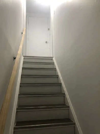 basement apt for Rent Image# 8