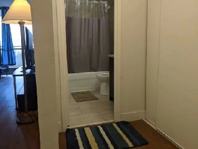 Furnished bachelor studio, Sherbourne Station, July 1 Image# 1