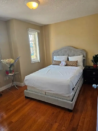 Room for rent Female professionals  bright furnished room Immedi Image# 8