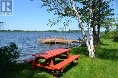 4 Season waterfront Cottage On Mitchell Lake Image# 3