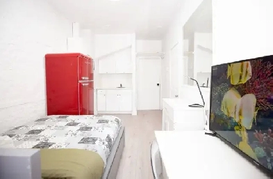 Furnished Studio Downtown Image# 1