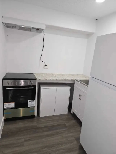 Coventry Hills. 2 Bedrooms basement for rent. With spice kitchen Image# 9