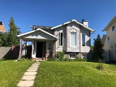 Bright Renovated 3 Bedroom Lower Bilevel Suite Image# 2