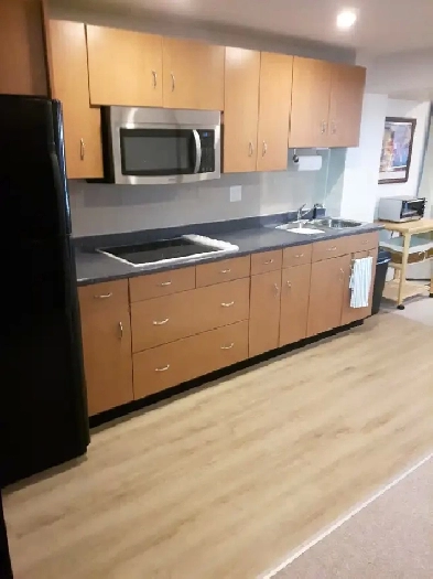 Spacious and Well Designed Suite in Strathcona Park SW Image# 3