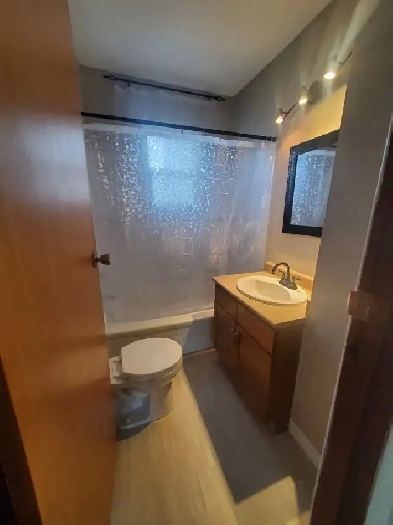 HUGE 3 bdr upper duplex PET friendly, close to LRT Image# 3