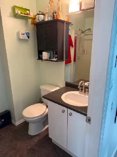 2 Bed 2 Bath - Pet Friendly - Near Hillside mall Image# 13