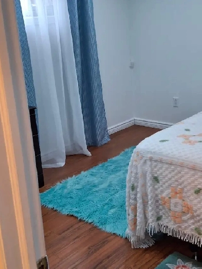 1 Bedroom Furnished apartment Basement Image# 5