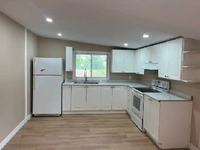 Newly renovated two Bedroom main FL Appt for lease Image# 1