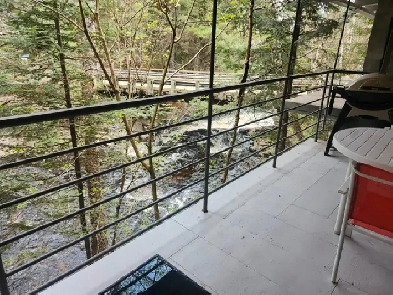 Studio a louer au bord de leau a lentree du parc mont tremblant Image# 3