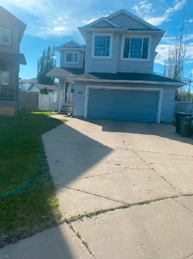 1 Bedroom Basement Suite for Rent – Ellerslie, Edmonton Image# 2