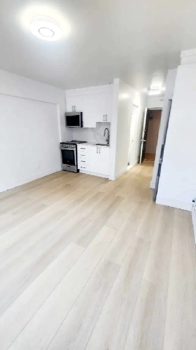 Studio a Louer / Studio for Rent  Downtown / Image# 5