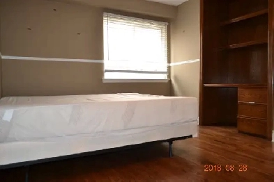 1 Big BR on 1st FL for single female at Williams&Dixie  Brampton Image# 1