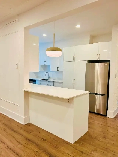 1 FREE MONTH Renovated 2 bed/Pet Friendly/Villa Maria Metro Image# 2