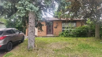 Room For rent Student or working individual near Humber College Image# 2