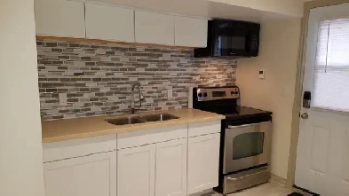 Share Basement for Female in East York near downtown for $ 1000 Image# 4