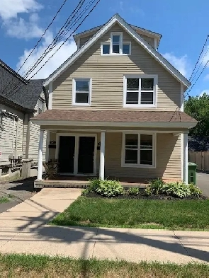 2 bed / 1 bath apartment in downtown Fredericton Image# 9