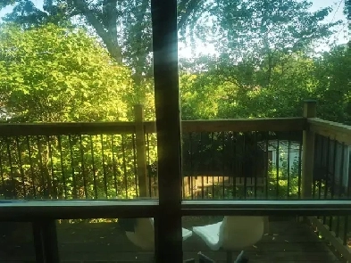 2 rooms available Image# 5