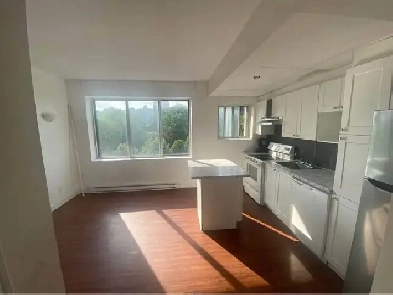 3.5 apartment - 4 mins walk from Concordia University Image# 4