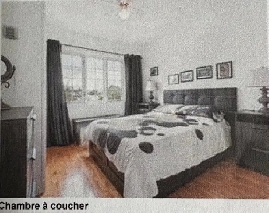 Appartement Image# 3