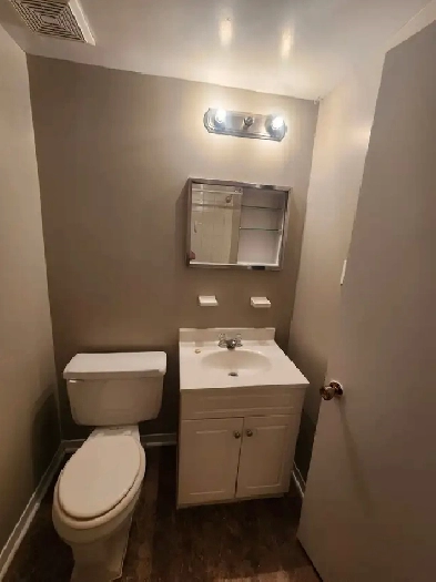 Bachelor apartment that is cat friendly Image# 3