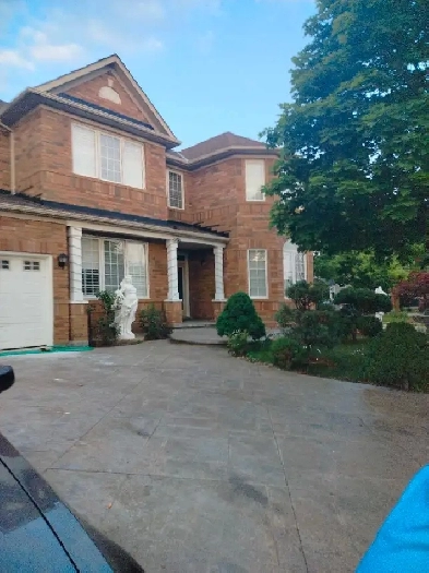 Private entrance basement with 3 bedrooms Image# 8