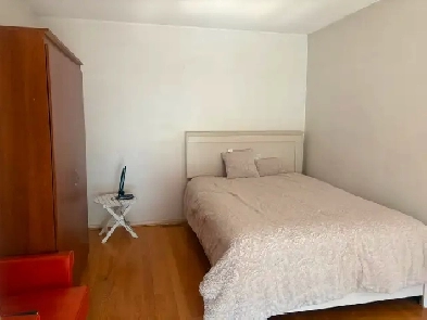 Room for one female working professional Image# 1