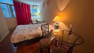 Furnished bachelor studio, Dundas/College Station, TMU, July 1 Image# 9