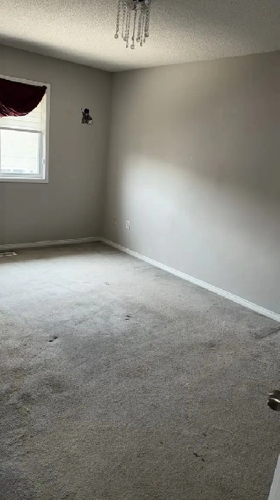 room for rent Image# 5