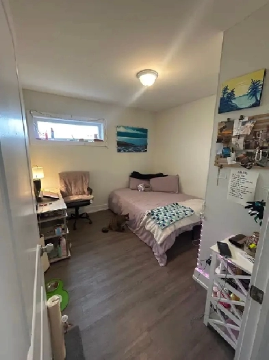 Sandy Hill Room for rent Image# 3