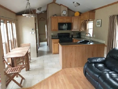 2008 Park Model home Image# 4