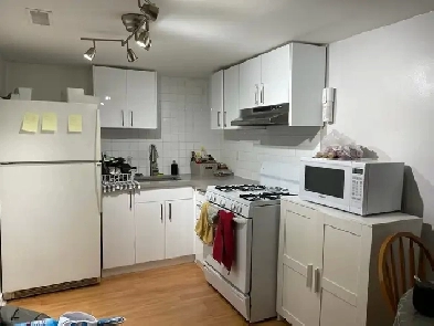 1 Bedroom Basement Apartment Trinity Bellwoods Image# 6