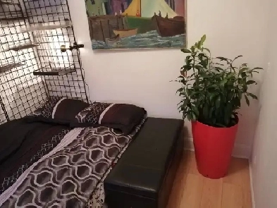 Chambre à louer Ste-Thérèse Image# 1