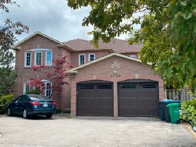 Great Basement Apartment Just Become Available Image# 2