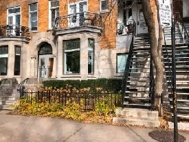 Superbe 7½, 1200pc. Situé sur Saint-Hubert, près de Rachel Image# 3