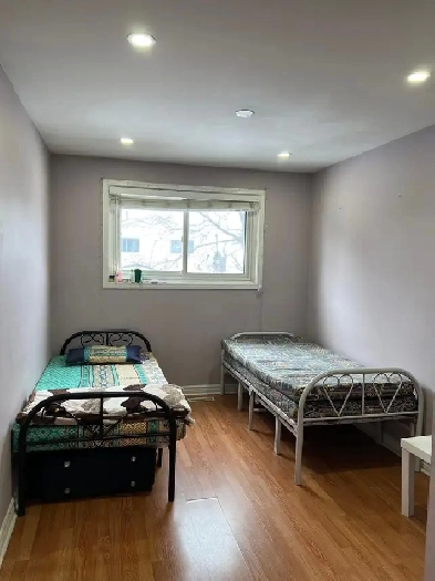 Private Upper Floor Rooms in Brampton for Couple  -July 1 Image# 1