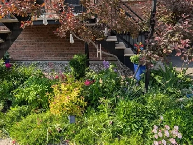 4-1/2 – Just 170 Meters from Metro De L'Eglise – July or August Image# 7