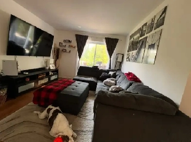 Beautiful, bright and spacious 4 1/2 for rent Image# 3