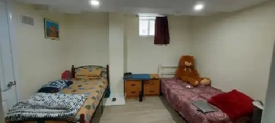 ⭐Clean Shared Room(Girl) in Brampton⭐ Image# 2