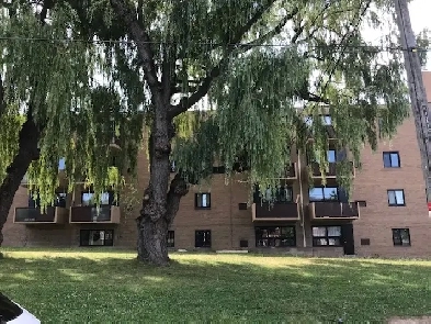 apartment rentals Image# 3